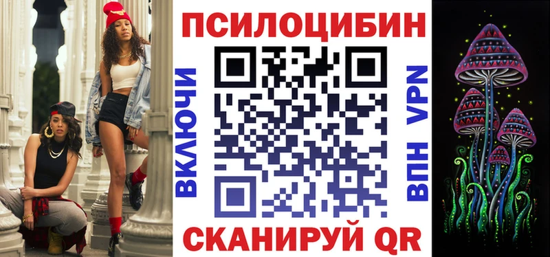 Псилоцибиновые грибы Psilocybine cubensis купить наркотики сайты Барабинск